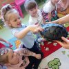 Światowy Dzień Żółwia w Przedszkolu