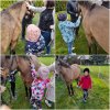 Biedronki na zajęciach nauki jazdy konnej w stadninie „Piaff Equestrian Reńska Wieś”