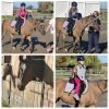 Zajęcia jeździeckie w stadninie koni „Piaff Equestrian Reńska Wieś”