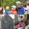 Wycieczka do zoo